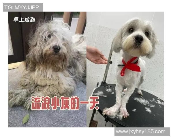 广州街舞队的逆袭之旅：从街头到舞台的奋斗与荣耀记录