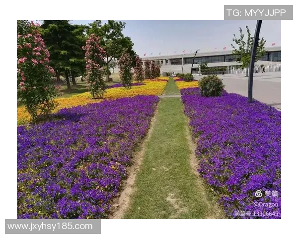 足球场占地约5900平方米的奥秘与价值探讨